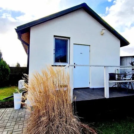 Bursztynek Lunowa *